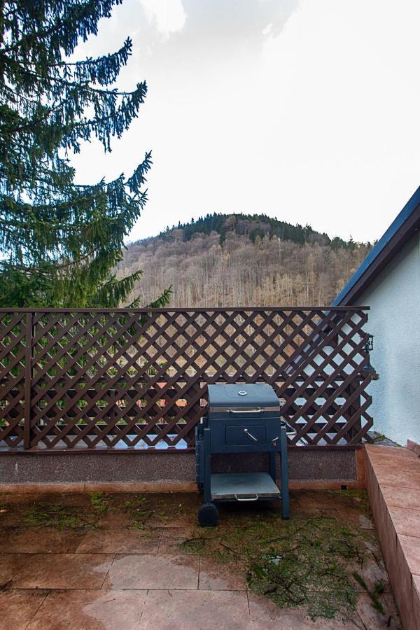 Vila Imperial Bed and Breakfast Sinaia Buitenkant foto